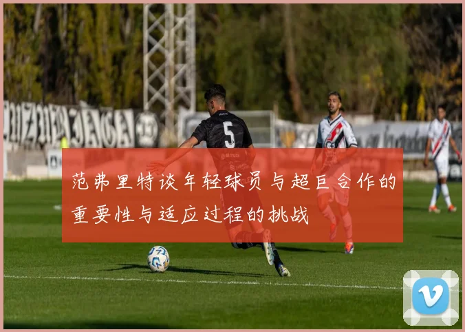 范弗里特谈年轻球员与超巨合作的重要性与适应过程的挑战
