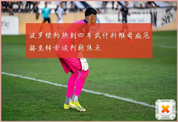 波罗续约热刺四年武什科维奇成范赫克转会谈判新焦点