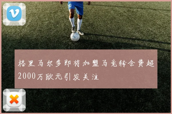 格里马尔多即将加盟马竞转会费超2000万欧元引发关注